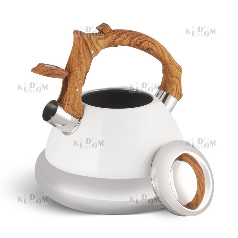 Чайник EDENBERG для плити зі свистком EB-8823